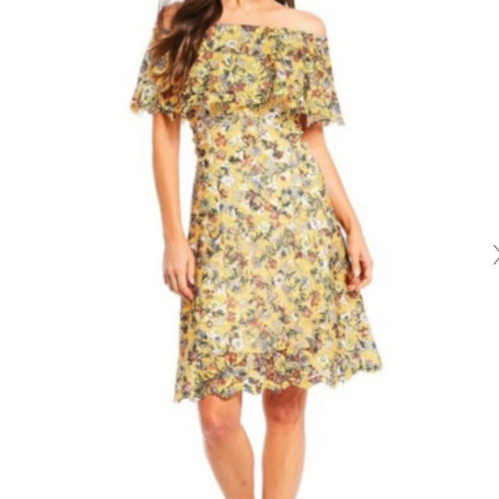 Alex Marie Off the Shoulder Floral Pattern A-Line Flounce Dress